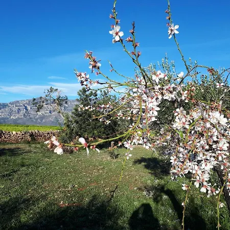 Frühstückspension Casa De Tortosa