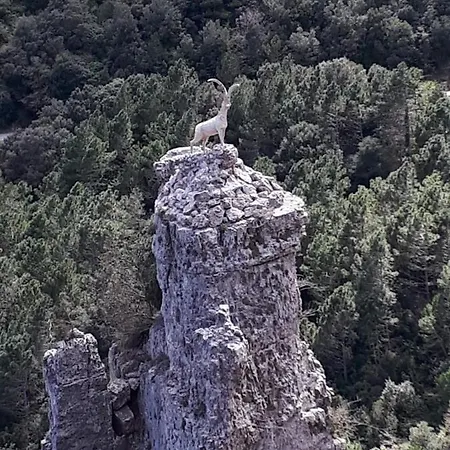 Casa De Tortosa