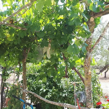 לינה וארוחת בוקר Casa De *