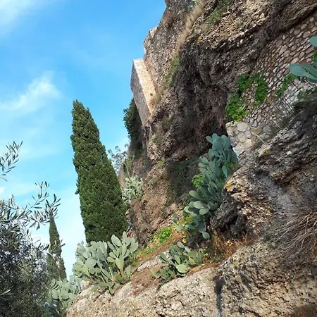 Casa De * טורטוסה